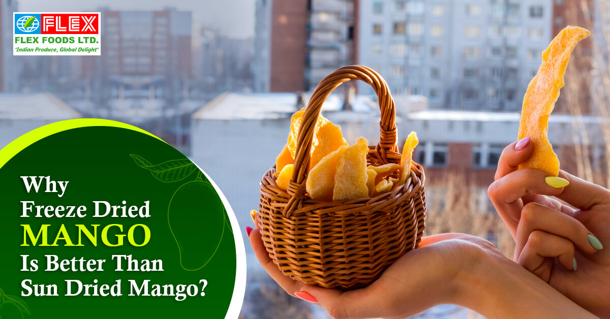 Flexfoodsltd-Blog-Freeze-dried Mango